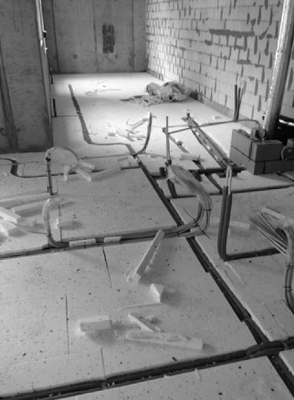 Autors: Publicitātes foto