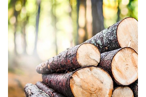 Autors: Publicitātes foto