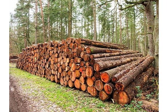 Autors: Publicitātes foto