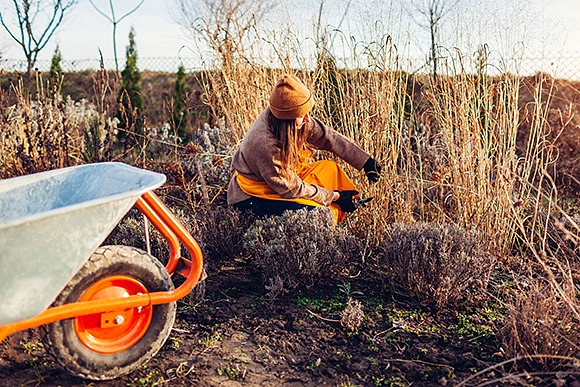 Autors: Publicitātes foto