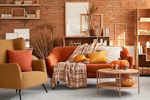 Autors: Shutterstock.com