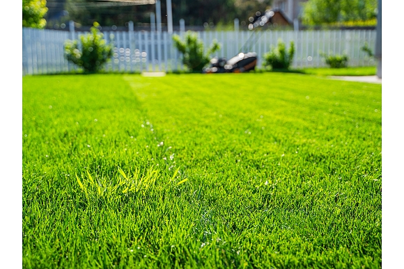 Autors: Shutterstock.com
