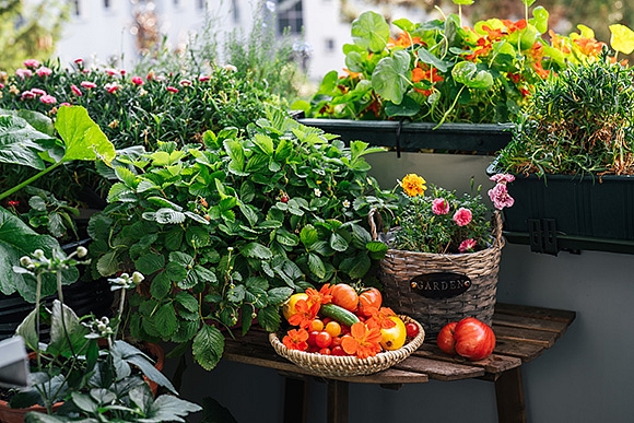 Autors: Shutterstock.com