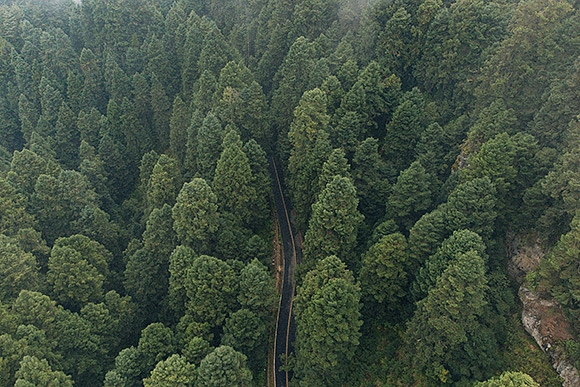 Autors: Publicitātes foto