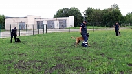 Būvuzņēmēji aicināti pieteikties iepirkumam Kinoloģijas centra izveidei Rēzeknē