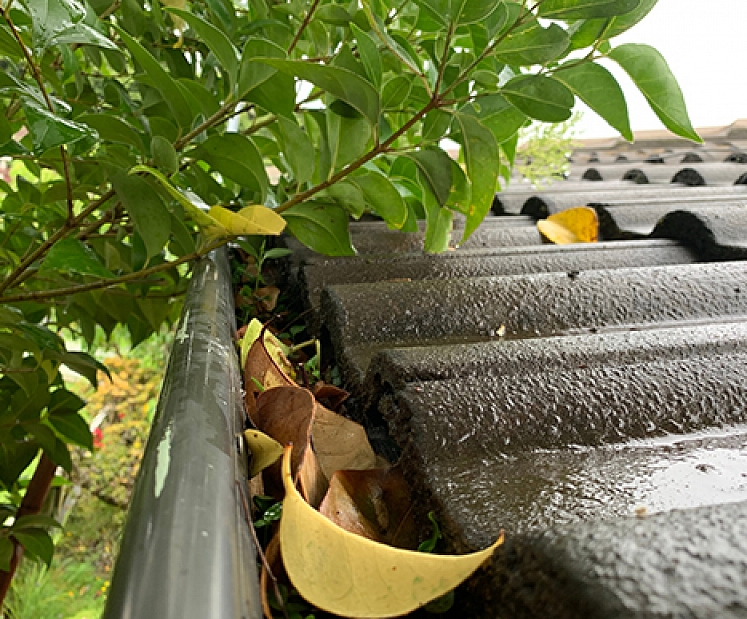 Lietus ūdens noteku pārbaude pirms rudens–ziemas sezonas
