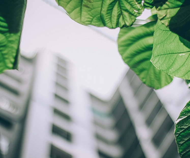 Vides izpēte (Environmental Due Diligence) – drošs pamats atbildīgiem nekustamo īpašumu un ražošanas biznesa darījumiem