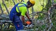 Līdz ceturtdienas rītam "Sadales tīkls" novērsis 1017 postošās vētras radītus elektrotīkla bojājumus