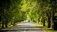 Atvēl finansējumu seguma uzlabošanai vēl gandrīz 330 km valsts reģionālo un vietējo autoceļu