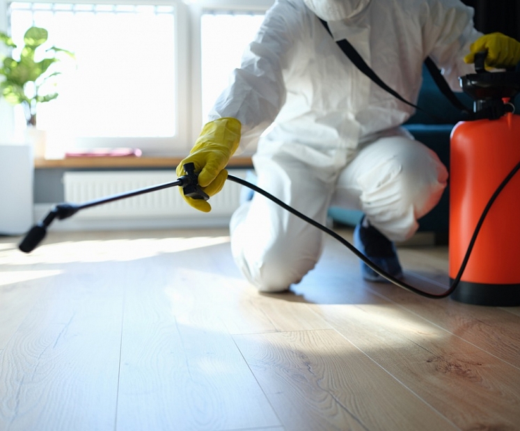 Droša un videi draudzīga dezinsekcija – mīti un realitāte