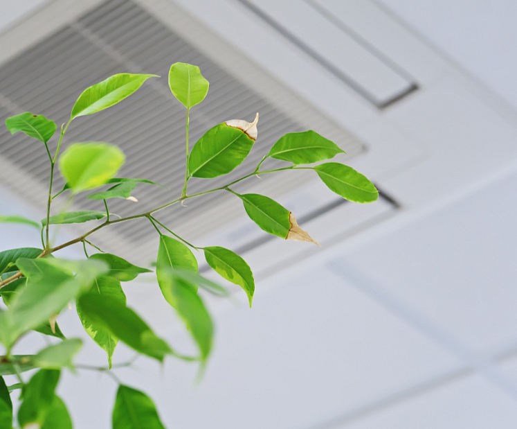 Eksperts: Kā mūs ietekmē gaisa kvalitāte?