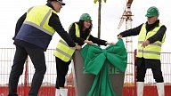 Skanstē iestādīti VERDE projekta pamatkoki