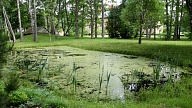 Elejas parka attīrīšanai aizņemsies 37 452 eiro