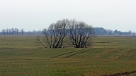 Zemes fonds novembrī sāks piedāvāt reversās nomas pakalpojumu