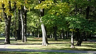 "Merks" Viesturdārza apkārtnē plāno jauna dzīvojamā kvartāla attīstību