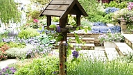 Bird gardening – putnu dārzs pagalmā vai uz balkona