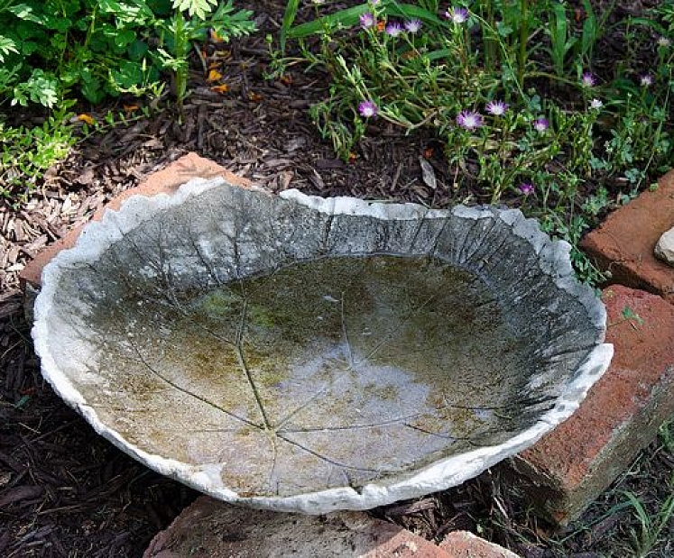 Kā uztaisīt oriģinālu putnu dzirdinātavu?