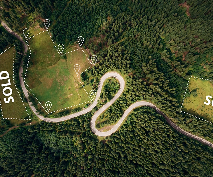 Meža zeme bez komunikācijām – vai tiešām neiespējamā misija mājas būvniecībai?