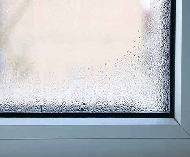 Kondensāts uz logiem ziemā: ko tas signalizē par mājokli?