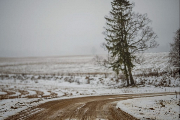 LVC: Janvārī nogreiderēti gandrīz 11 000 km grants seguma