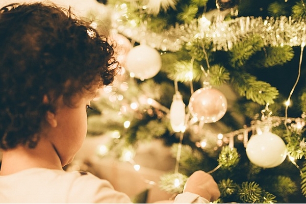 Padomi skaistiem svētkiem: Kā izvēlēties un kopt Ziemassvētku eglīti?