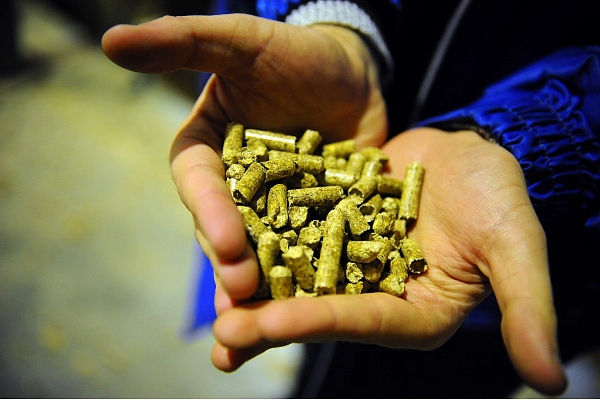 "Graanul Invest" ieguldīs apmēram 2,1 miljonu eiro kokskaidu granulu ražošanas līniju pārbūvē