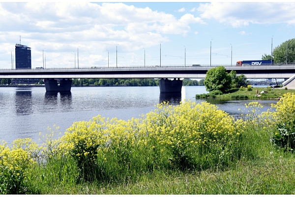 Salu tilta pārbūves darbu projektēšanu un autoruzraudzību par 249 211 eiro veiks "Vertex projekti" un "Inženierbūve"