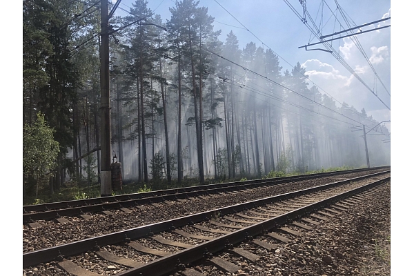 Nodrošinās plašāku sabiedrības iesaisti "Rail Baltica" īstenošanas procesā