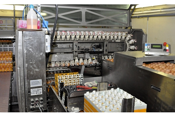 Atkārtota novērtējuma veikšanai pārtrauc olu ražotnei Tukuma novadā noskatīto zemesgabalu izsoli