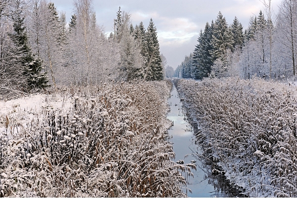 Meliorācijas sistēmas pārbūvei Dunavas pagastā aizņemsies 220 422 eiro