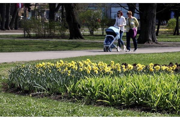 Tuvāko mēnešu laikā Rīgā tiks veikta visu pilsētas parku inventarizācija