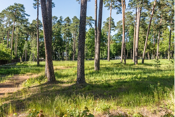 Premium zemes darījumu tirgus Latvijā šogad visaktīvākais Jūrmalā