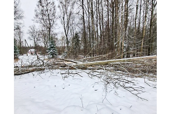 "Sadales tīkls" novērsis ap 300 sniega vētras radītos elektrotīkla bojājumus