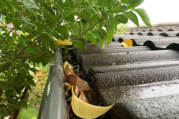 Lietus ūdens noteku pārbaude pirms rudens–ziemas sezonas