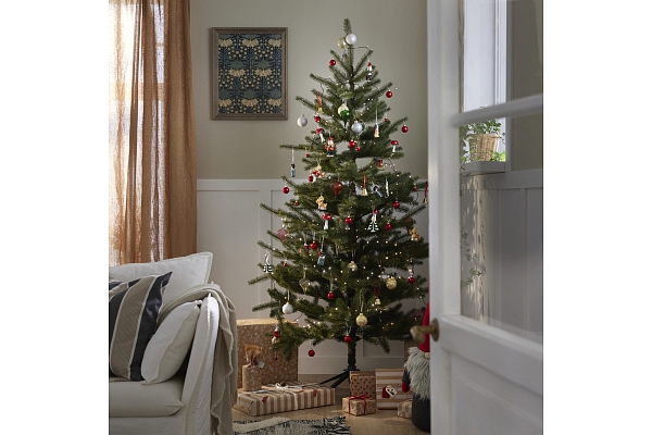 Kā dekorēt svētku galveno elementu – Ziemassvētku eglīti? Iesaka interjera dizainers