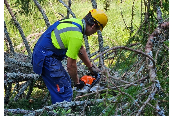 Līdz ceturtdienas rītam "Sadales tīkls" novērsis 1017 postošās vētras radītus elektrotīkla bojājumus