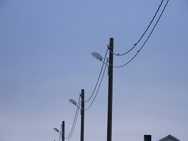 Elektroenerģija Iecavas novada pašvaldības vajadzībām nākamgad izmaksās 62 454 eiro