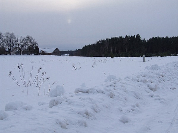 Saeima konceptuāli atbalsta ieceri meliorētas zemes īpašniekiem meliorācijas pases vietā izsniegt kadastra izziņas