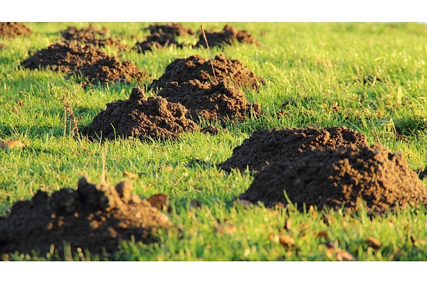 Zemes iegādes programmā izlietoti 54,5 miljoni no pieejamajiem 70 miljoniem eiro