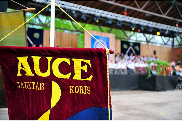 Auces novada pašvaldība izsolē plāno pārdot sešus īpašumus 20 890 eiro vērtībā