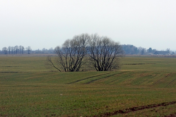 Zemes fonds novembrī sāks piedāvāt reversās nomas pakalpojumu