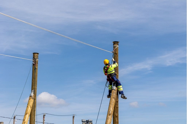 2024. gadā sasniegts vēsturiski zemākais elektrotīkla bojājumu skaits