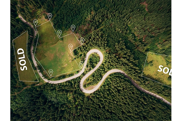 Meža zeme bez komunikācijām – vai tiešām neiespējamā misija mājas būvniecībai?