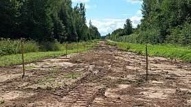 Austrumu robežā aktīvi norit zemes sagatavošanas darbi – 16 km garumā sāks būvdarbus