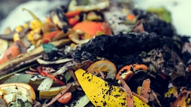 No nākamā gada BIO atkritumu šķirošana Latvijā būs obligāta; uzsāk informatīvo kampaņu "Uzliec brūno"