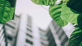 Vides izpēte (Environmental Due Diligence) – drošs pamats atbildīgiem nekustamo īpašumu un ražošanas biznesa darījumiem