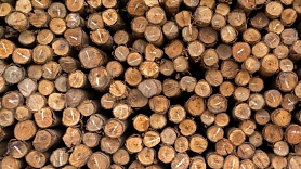 SIA BCE: pārdomāta bezatlikuma koksnes izstrādājumu ražošana – kokmateriāli, zāģmateriāli, paletes un kurināmais