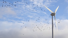 Vēja elektrostacijas parku būvniecību Dobeles un Tukuma novadā varētu sākt 2020.gadā