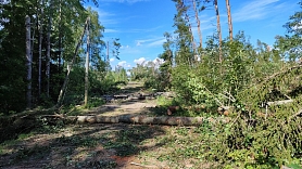 Jaunpiebalgas apkārtnē divi vietējo ceļu posmi vēl slēgti sagāzto koku dēļ
