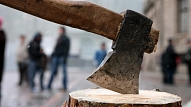 Neskatoties uz iedzīvotāju iebildumiem, komisija atbalsta teju 50 koku nociršanu Liepājā, Roņu ielā